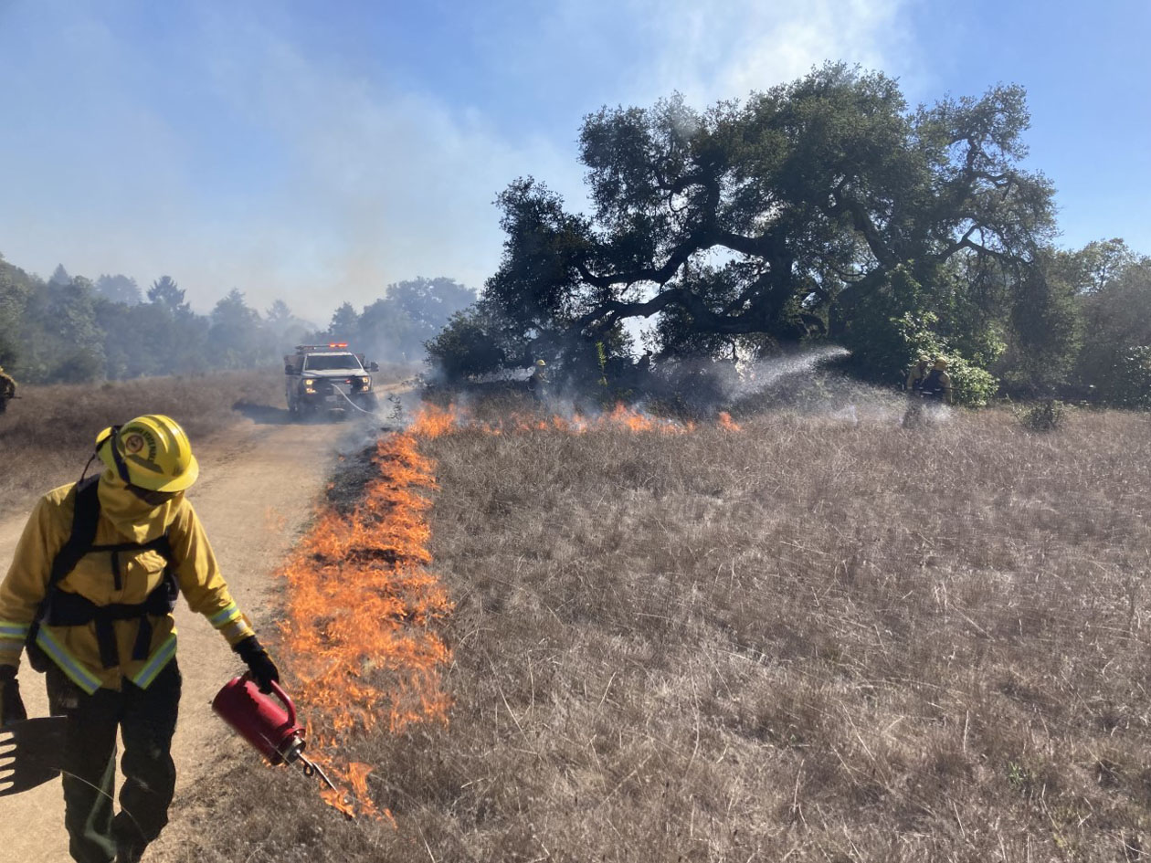 Controlled Burn, Santa Cruz